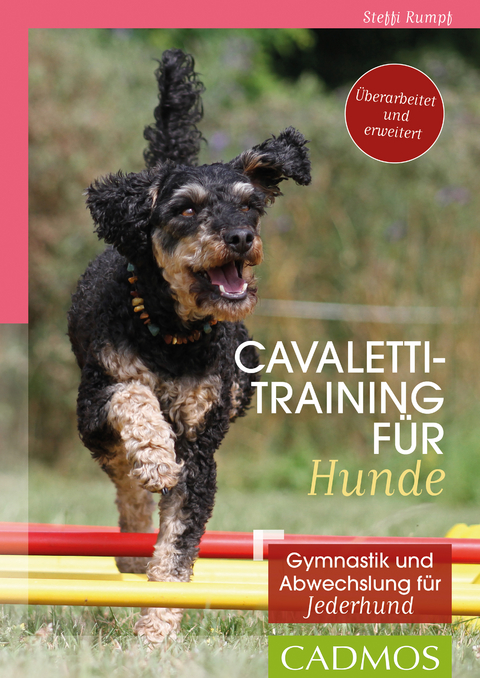 Cavalettitraining für Hunde - Steffi Rumpf