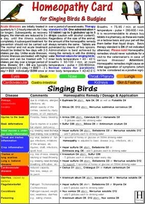 Homeopathy for Birds - Veterinary Science Card