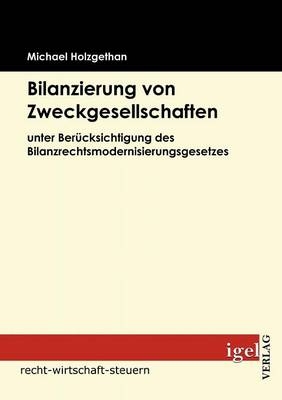 Bilanzierung von Zweckgesellschaften - Michael Holzgethan