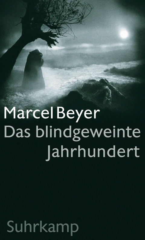 Das blindgeweinte Jahrhundert - Marcel Beyer