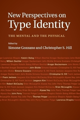 New Perspectives on Type Identity - 