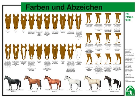 Farben und Abzeichen - 