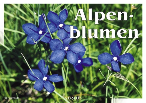 Alpenblumen - 