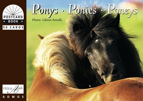 Ponys /Ponies /Poneys - 