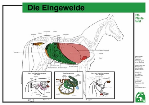 Die Eingeweide - FN-Pferdetafeln - 