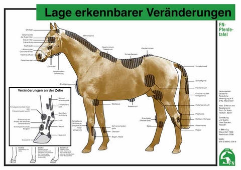 Lage erkennbarer Veränderungen - 