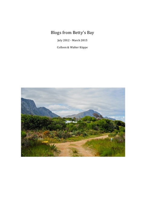 Blogs from Betty's Bay - Walter Köppe