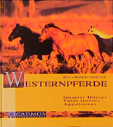 Westernpferde - Petra Roth-Leckebusch