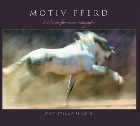 Motiv Pferd - Christiane Slawik