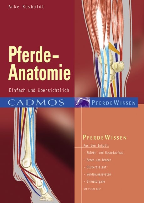 Pferde-Anatomie - Anke Rüsbüldt