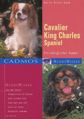 Cavalier King Charles Spaniel - Karin Biala-Gauss