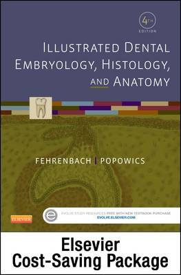 Illustrated Dental Embryology, Histology, and Anatomy - Text and Student Workbook Package - Margaret Fehrenbach