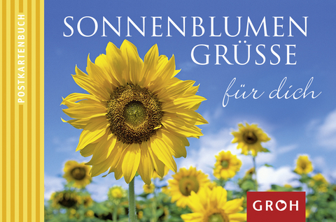 Sonnenblumengrüße für dich