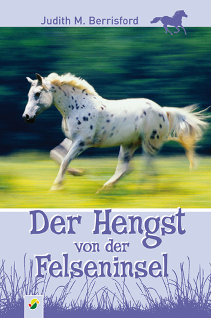 Der Hengst von der Felseninsel - Judith M Berrisford