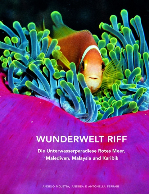 Wunderwelt Riff - Angelo Mojetta, Andrea Ferrari, Antonella Ferrari