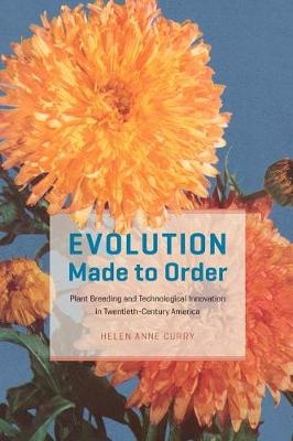 Evolution Made to Order -  Helen Anne Curry