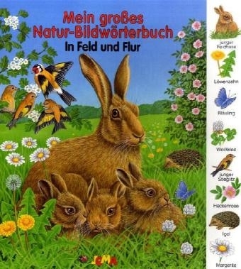 Mein großes Natur-Bildwörterbuch - In Feld und Flur - 