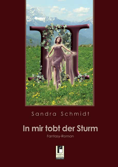 In mir tobt der Sturm - Sandra Schmidt