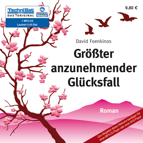 Größter anzunehmender Glücksfall - David Foekinos