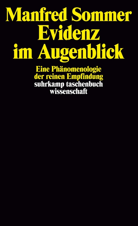 Evidenz im Augenblick - Manfred Sommer