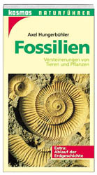 Fossilien - Axel Hungerbühler