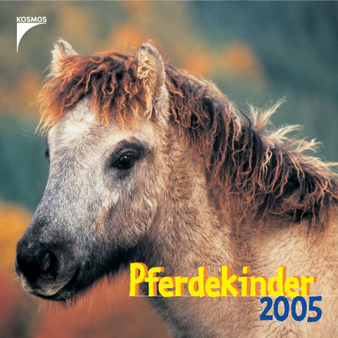 Pferdekinder 2005