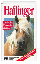 Haflinger