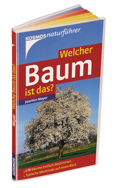 Welcher Baum ist das? - Joachim Mayer