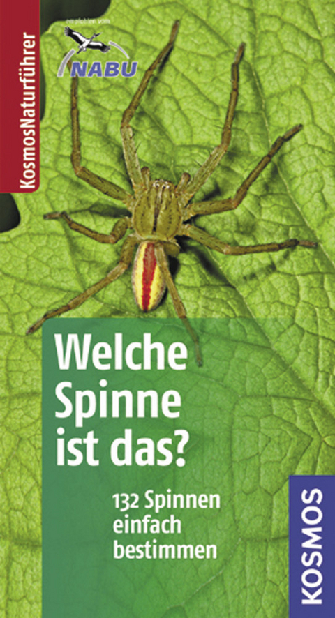 Welche Spinne ist das? - Martin Baehr