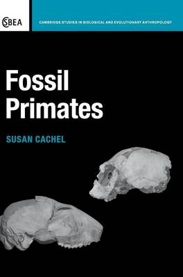 Fossil Primates - Susan Cachel