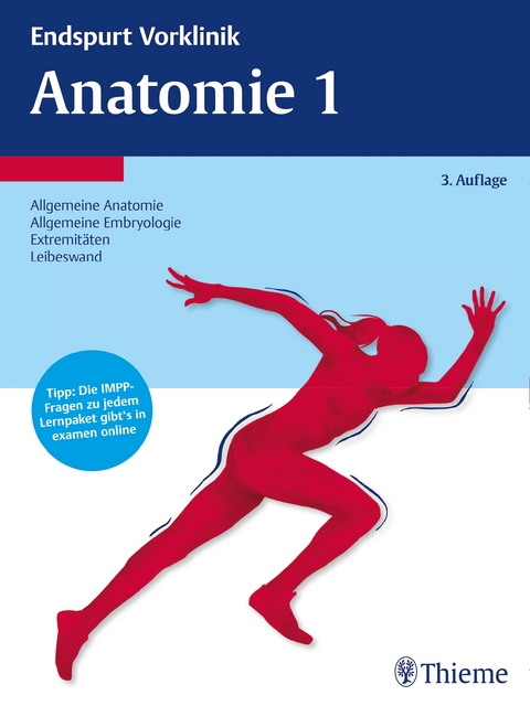 Endspurt Vorklinik: Anatomie 1