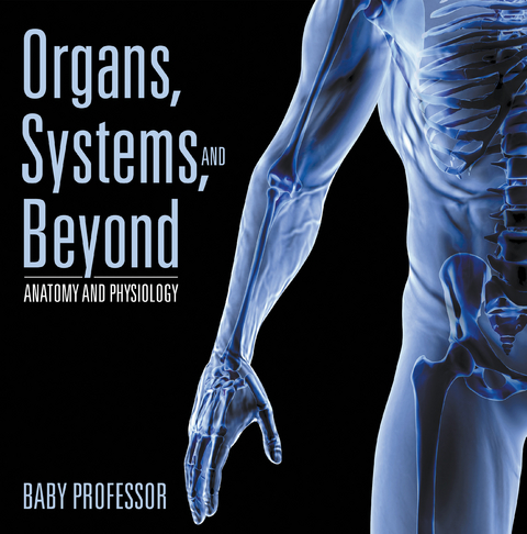 Organs, Systems, and Beyond | Anatomy and Physiology - Baby Professor