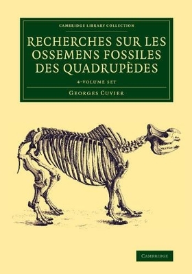 Recherches sur les ossemens fossiles des quadrupèdes 4 Volume Set - Georges Cuvier