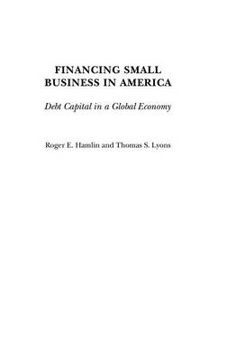 Financing Small Business in America - Roger E. Hamlin, Thomas S. Lyons