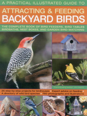 A Practical Illustrated Guide to Attracting and Feeding Backyard Birds - Jen Dr. Green