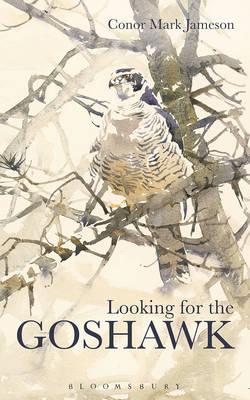 Looking for the Goshawk - Conor Mark Jameson