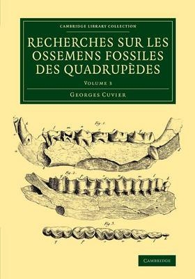 Recherches sur les ossemens fossiles des quadrupèdes - Georges Cuvier