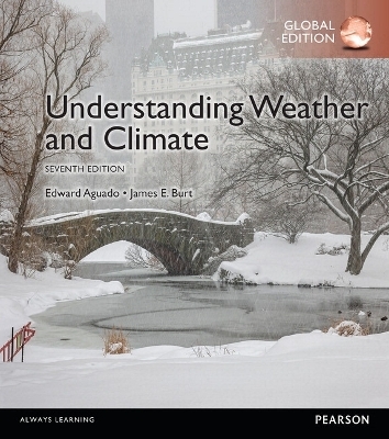 Understanding Weather & Climate, Global Edition - James Burt, Edward Aguado