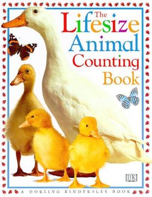 Lifesize Animal Counting -  Dk