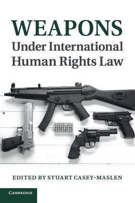 Weapons under International Human Rights Law - 