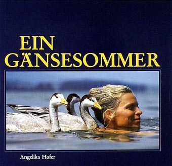 Ein Gänsesommer - Angelika Hofer