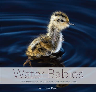 Water Babies - William Burt