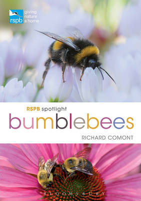 RSPB Spotlight Bumblebees -  Richard Comont