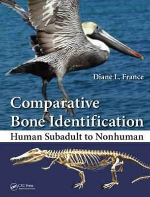 Comparative Bone Identification -  Diane L. France