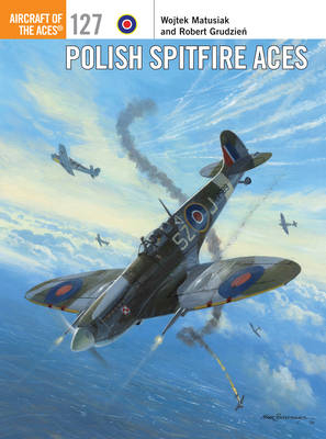 Polish Spitfire Aces - Wojtek Matusiak