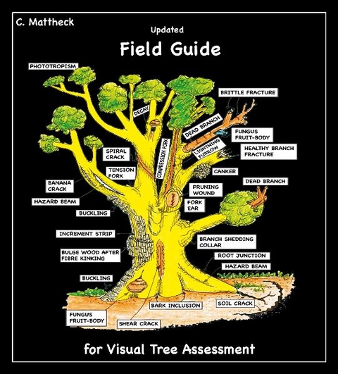 Updated Field Guide for Visual Tree Assessment - Claus Mattheck