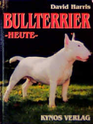 Bull Terrier - heute - David Harris