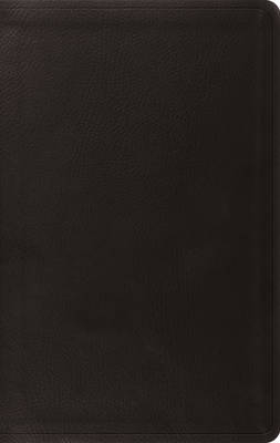 ESV Value Thinline Bible