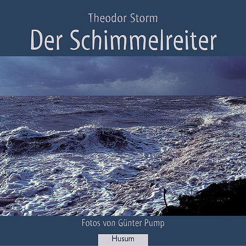 Der Schimmelreiter - Theodor Storm