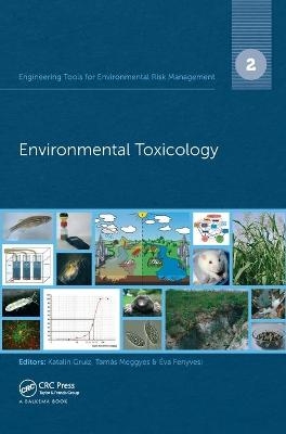 Engineering Tools for Environmental Risk Management - 